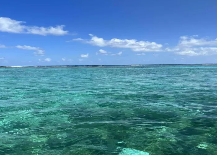 Residences At Barrier Reef 4b Oceanview 2 Bedroom By Floreo * San Pedro (Ambergris Caye)