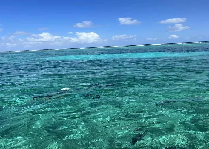 Residences At Barrier Reef 4b Oceanview 2 Bedroom By Floreo Holiday home *